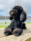 PRINCESS OF THE ONYX FOREST (Piper)